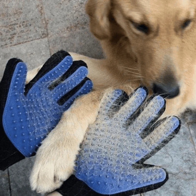 Pet Hair Glove