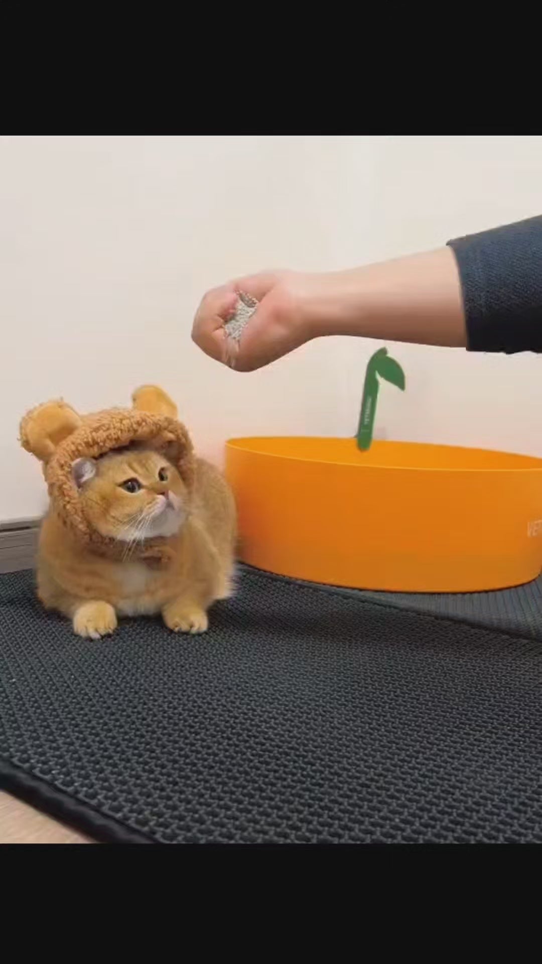 Cleanpaw Double-Layer Cat Litter Mat EVA