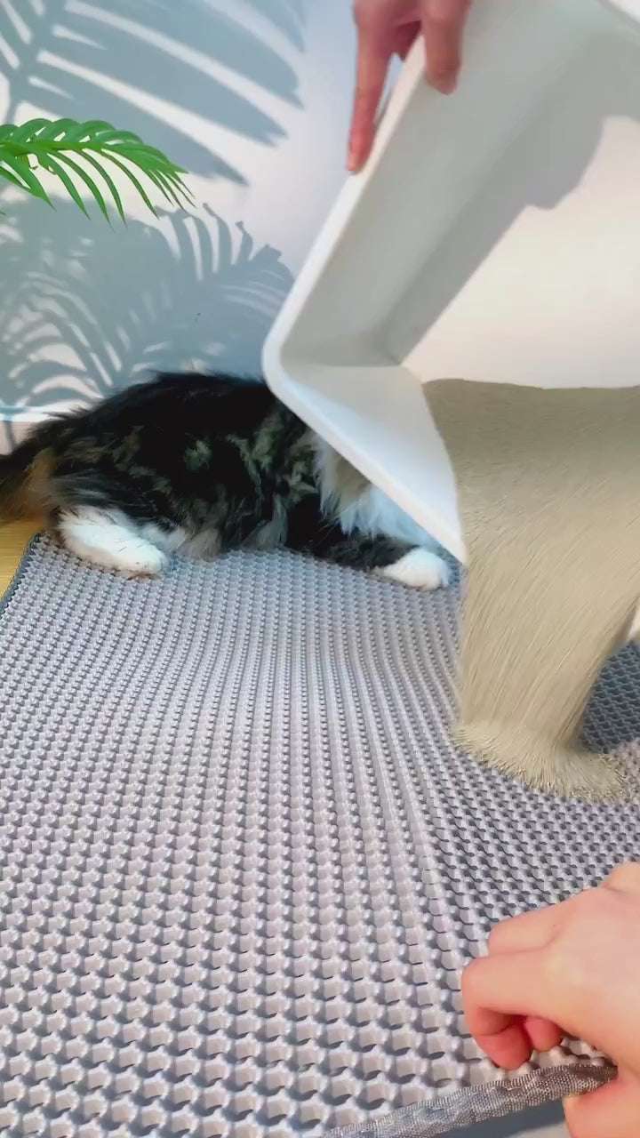 Cleanpaw Double-Layer Cat Litter Mat EVA